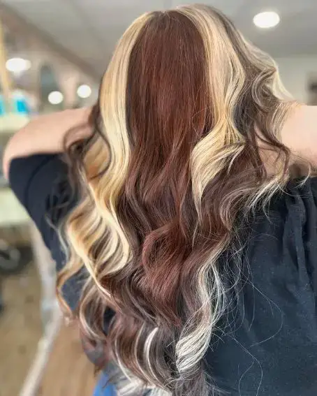 Brown and Blonde Calico Hair