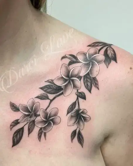 Black and Grey Plumeria Tattoo on Shoulder