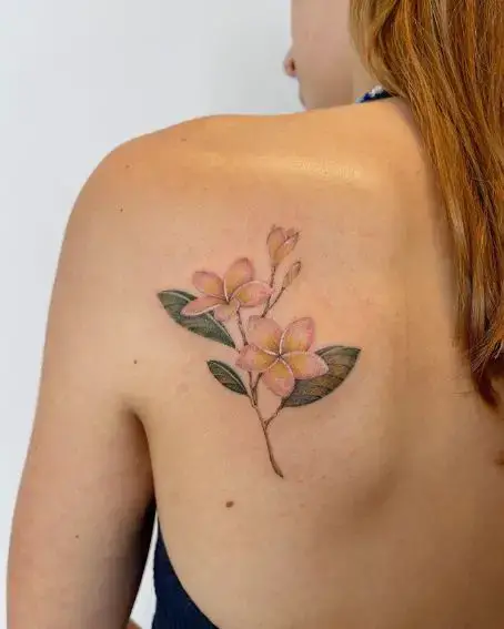 Plumeria Flower Tattoo Design on Back Shoulder