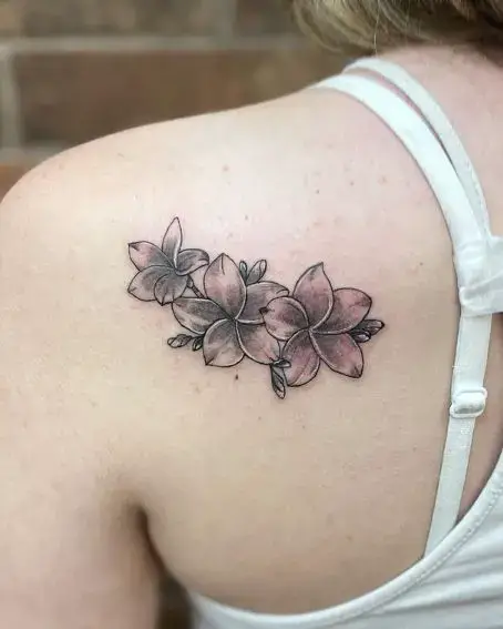 Plumeria Flower Tattoo on Back Shoulder