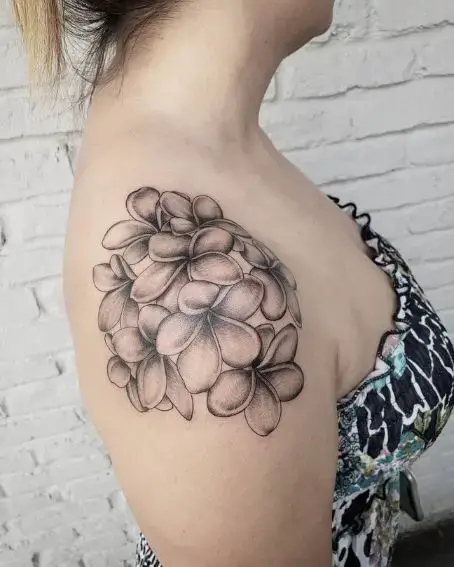 Soft Plumerias Tattoo on Shoulder