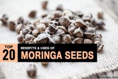 20 Interesting Benefits And Uses Of Of Moringa Seeds