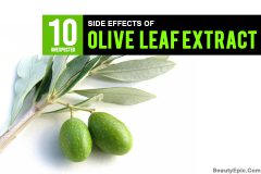 10 Olive Leaf Extract Side Effects In 2024