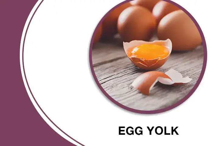 Egg Yolk for Thick Hair