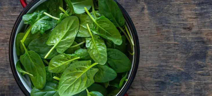 10 Best Foods to Eat for a Collagen Boost