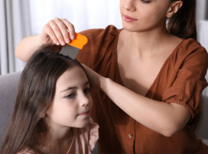 home remedies for head lice