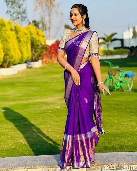 Kanchipuram Stylish Purple Color Saree with Silver Border