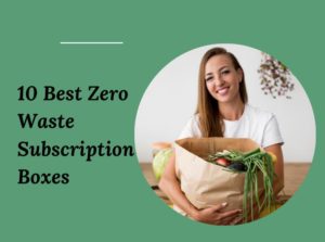 10 Best Zero Waste Subscription Boxes