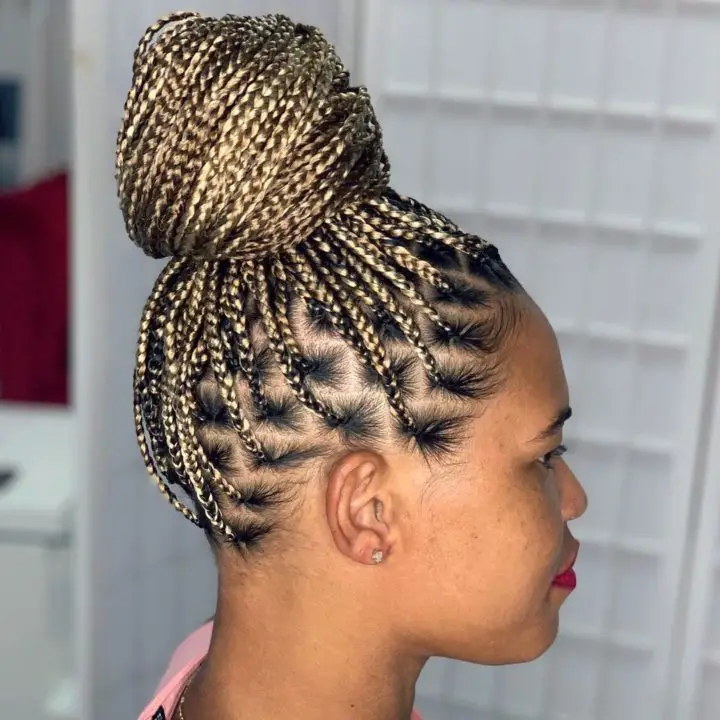Knotless Braided Hairstyle for black women